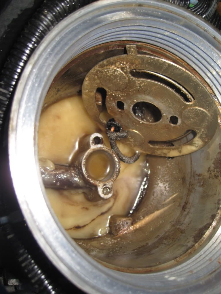 Clogged D2 fuel filter from/DISGUSTING FUEL BOWL PIX Ford Powerstroke